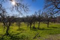 Additional image 51 of 19019 Olinda Rd, Anderson, CA, 96007