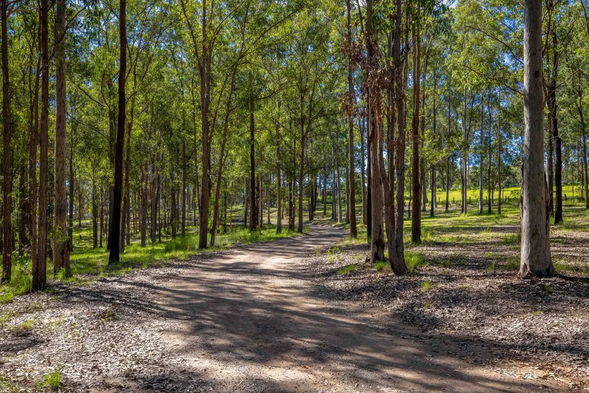 Additional image 30 of 1420 Collombatti Road, Collombatti NSW 2440
