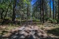 Additional image 79 of 2399 Campo Flores Ln, West Point, CA, 95255