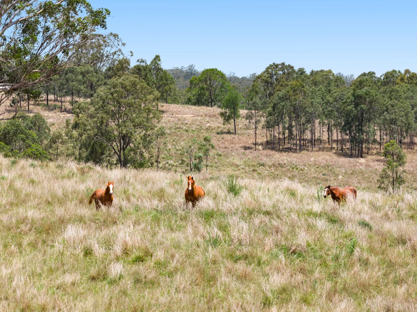 Additional image 32 of 160 Rocky Gully Road, Crows Nest QLD 4355