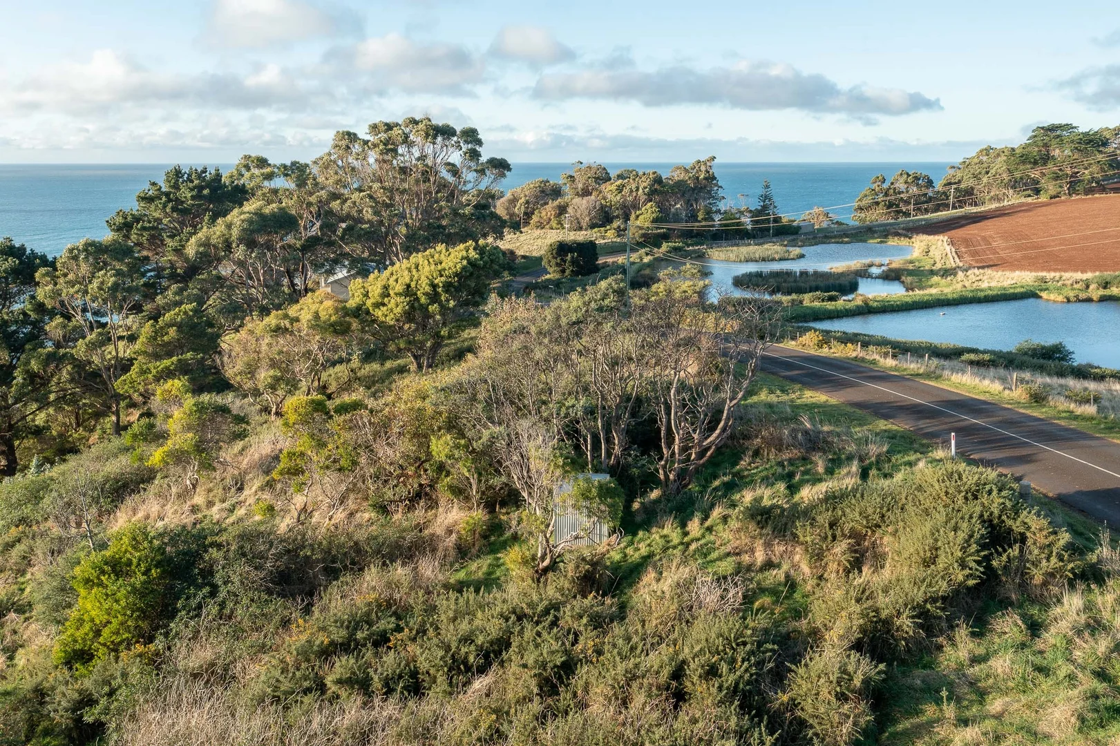 Additional image 23 of 472 Tollymore Road, Table Cape TAS 7325