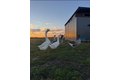 Additional image 55 of 4239 Seven Hills Rd, Odin, IL, 62870