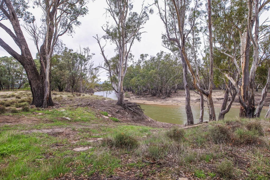 Additional image 23 of 'Old Hanley Park' 444 Greaves Road, Deniliquin NSW 2710