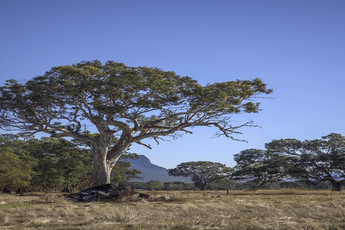 Additional image 4 of Bellicourt Road, Dunkeld VIC 3294