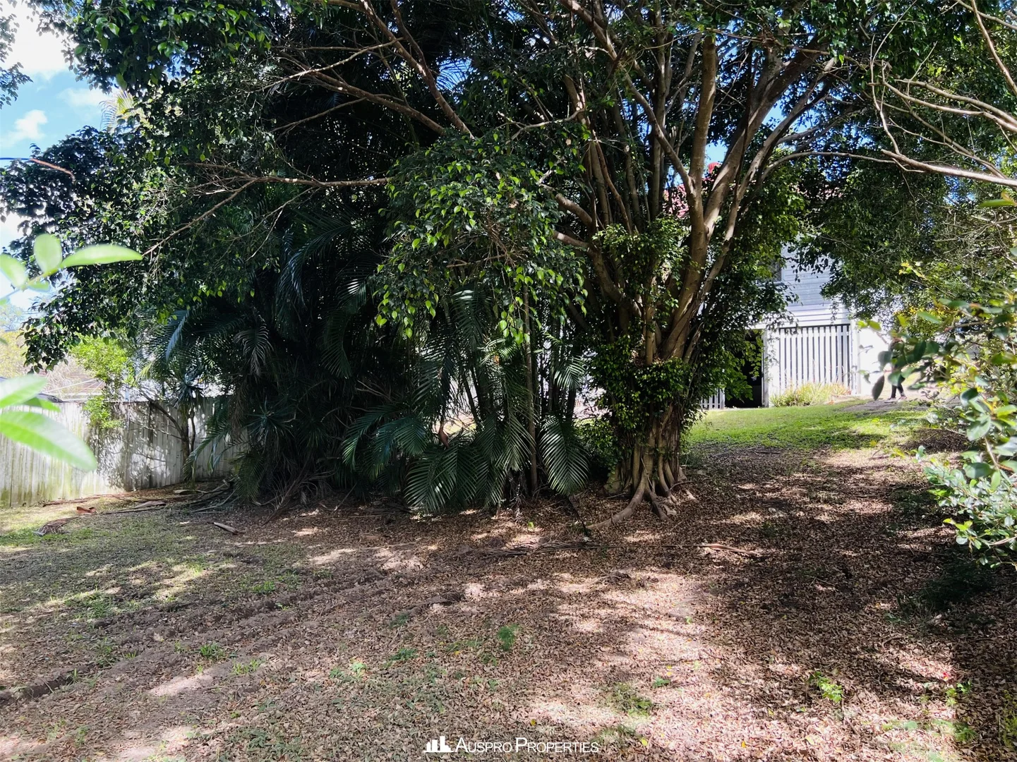 Additional image 14 of 170 Macrossan Avenue, Norman Park QLD 4170