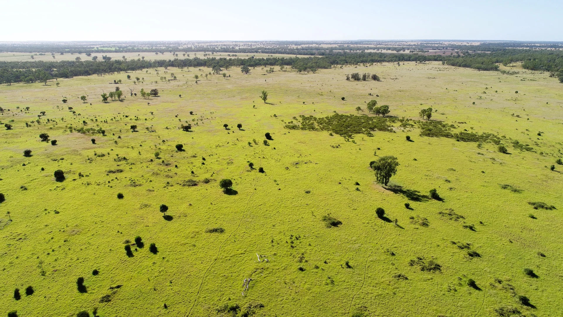 Additional image 5 of 'Edenhope' 615 Barracks Road, Roma QLD 4455