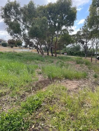 Additional image 5 of 19 Harriott Street, York WA 6302