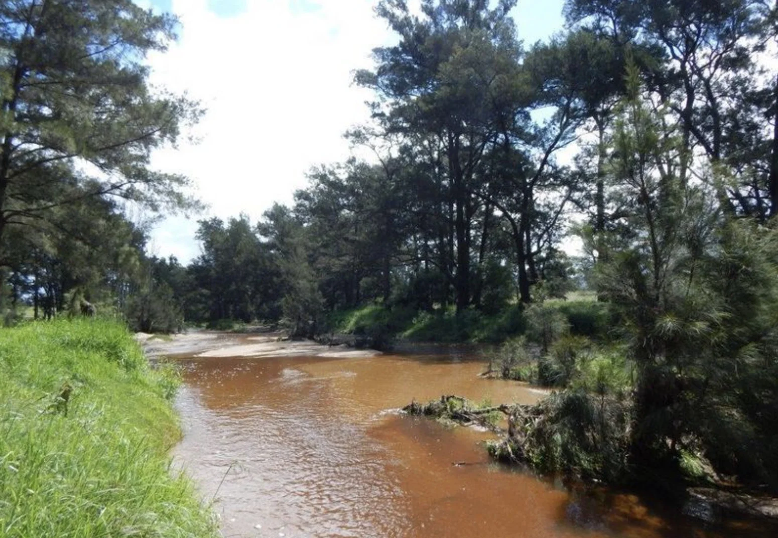 Additional image 35 of 874 Cobargo Bermagui Road, Coolagolite NSW 2550