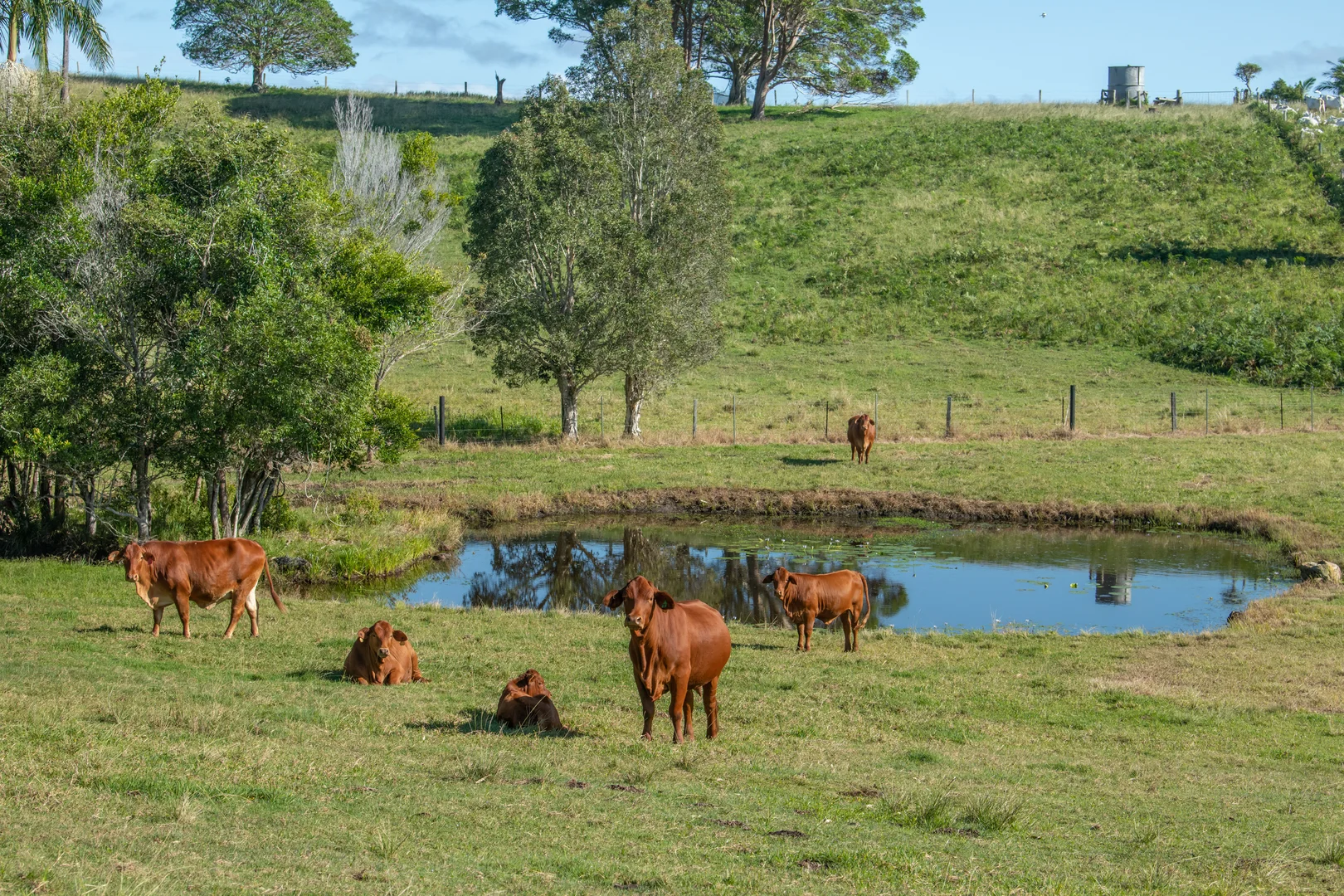 Additional image 19 of 193 Espin Road, Bli Bli QLD 4560