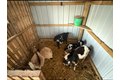 Additional image 58 of 4239 Seven Hills Rd, Odin, IL, 62870