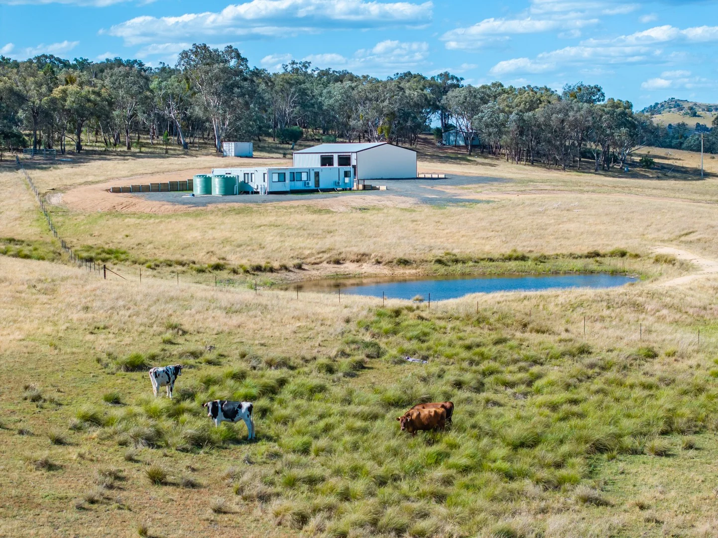 3705 Frogmore Road, Hovells Creek NSW 2794
