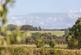 Additional image 22 of Welburn, York YO60