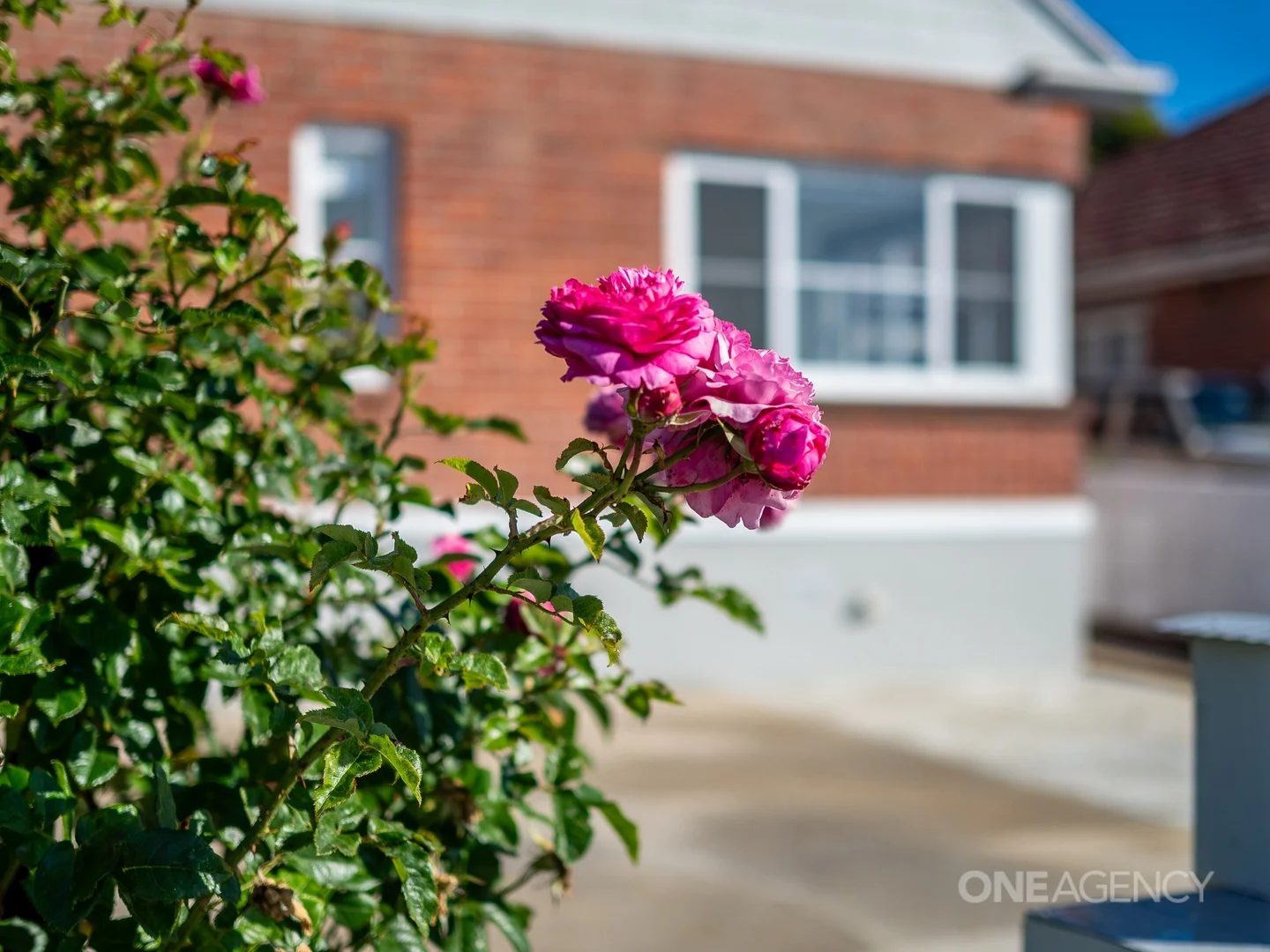 Additional image 16 of 12 Moody Street, Burnie TAS 7320