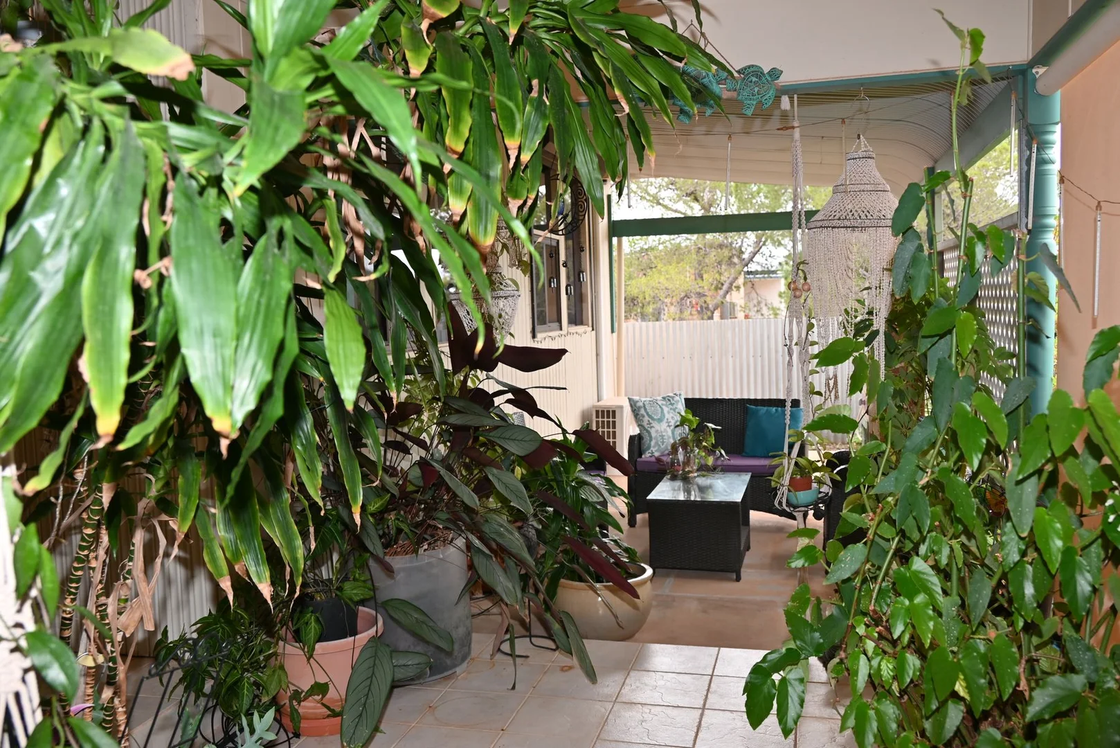 Additional image 9 of 6 Gouge Street, Morgan SA 5320