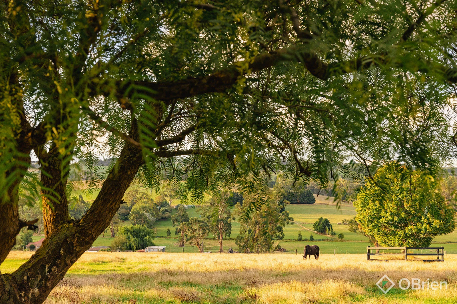 Additional image 9 of 500 Copelands Road, Lillico VIC 3820