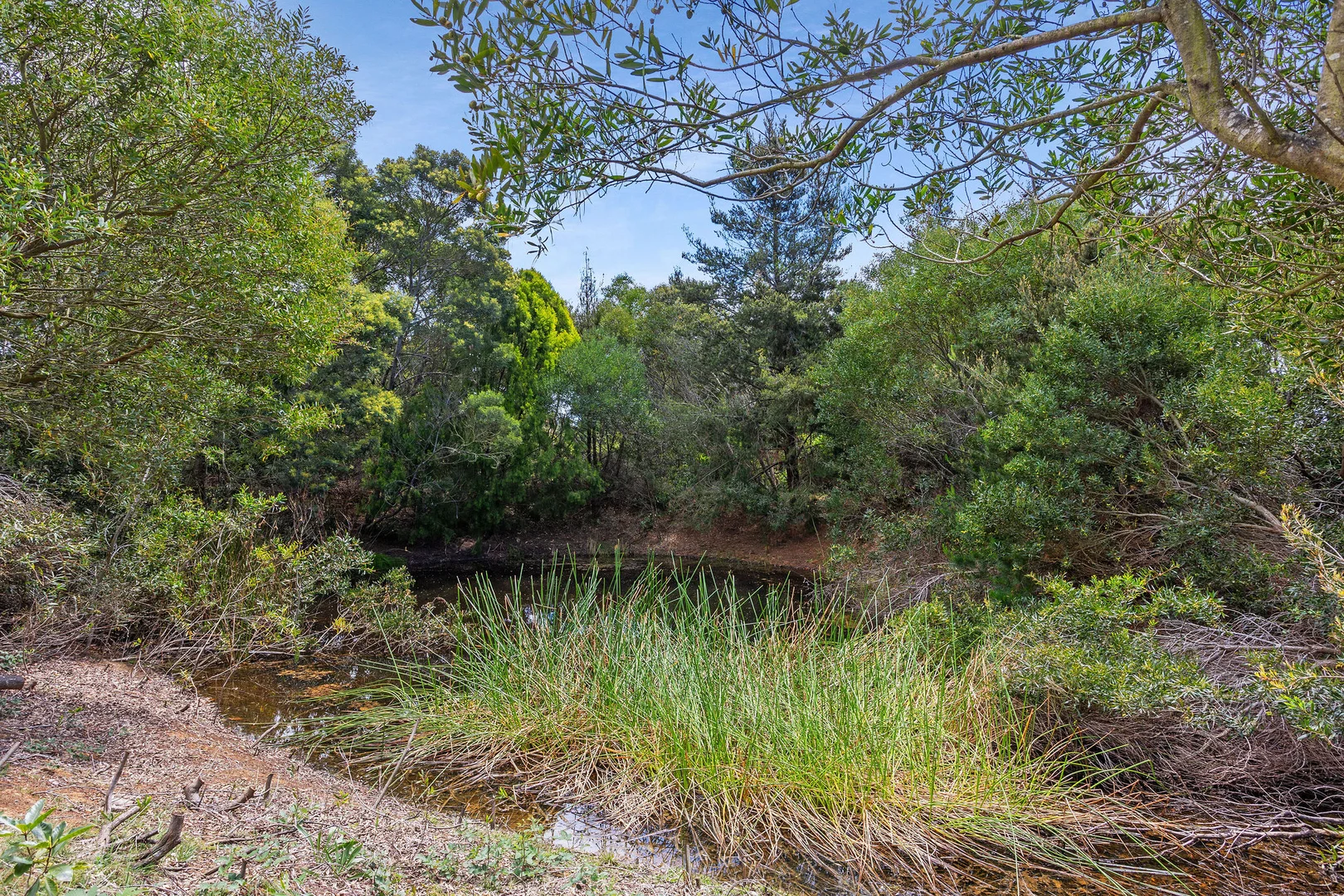 Additional image 21 of 339 Nepean Highway, Mount Martha VIC 3934