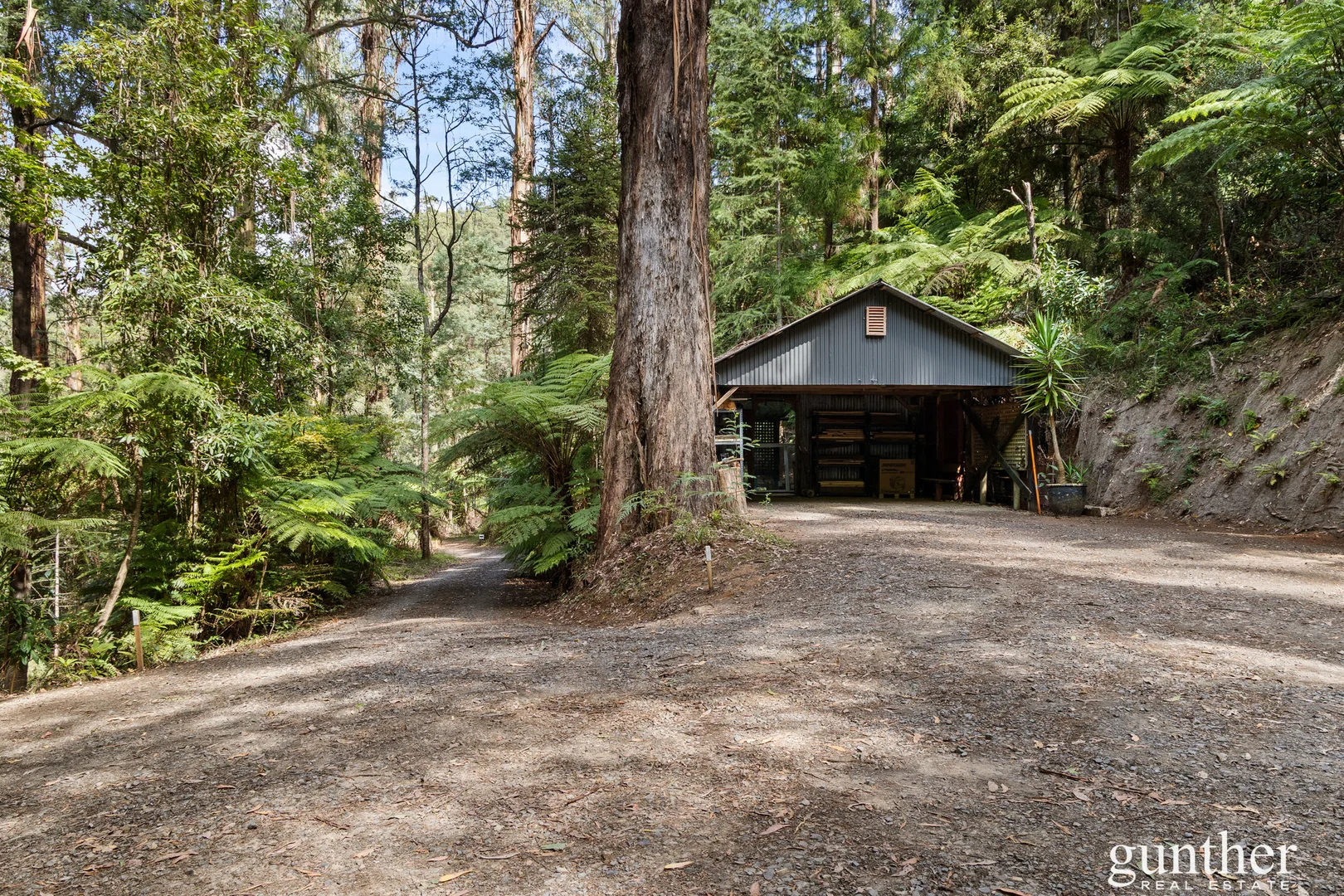 Additional image 25 of 147 Maroondah Highway, Narbethong VIC 3778