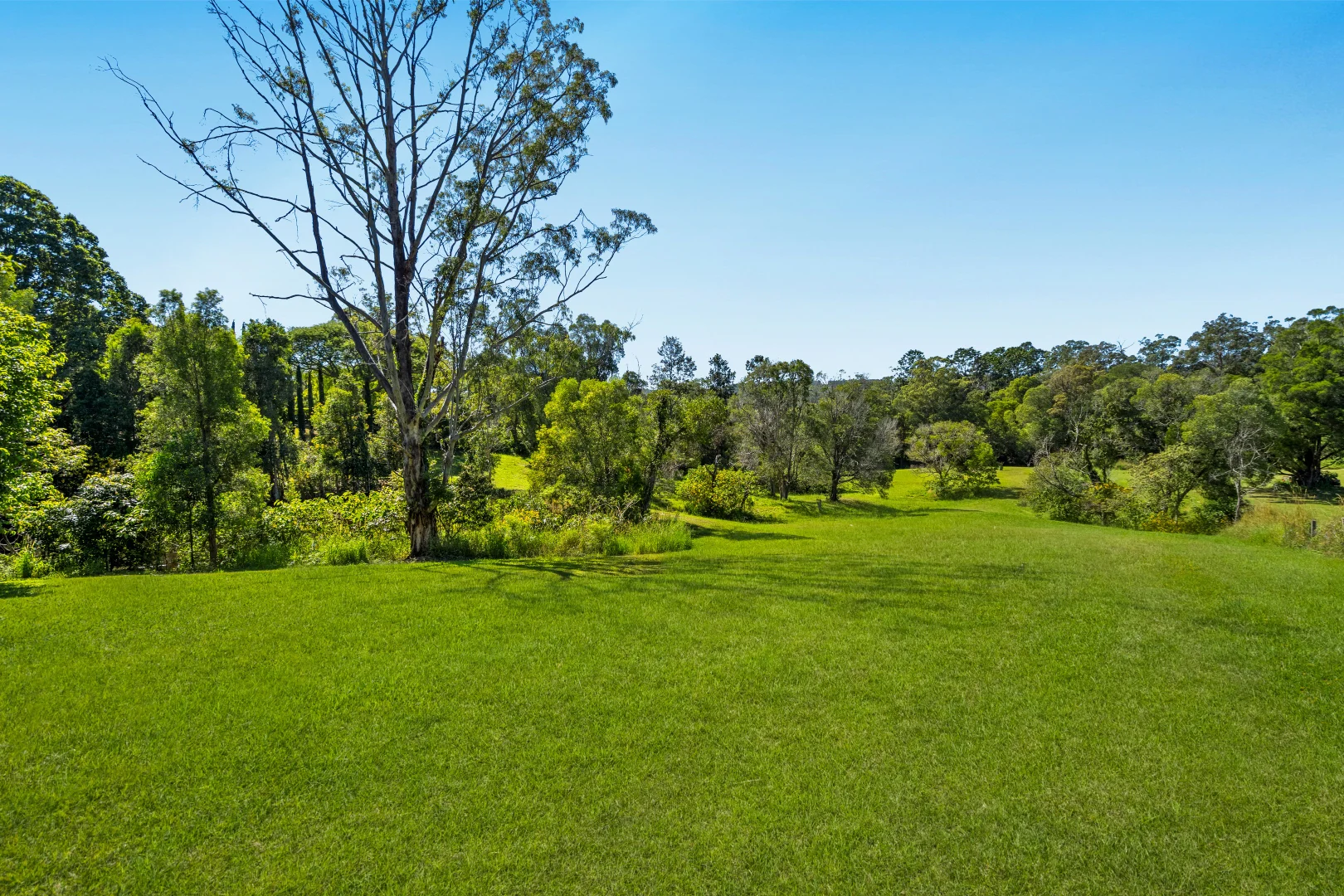 Additional image 42 of 20 Collaroy Road, Guanaba QLD 4210