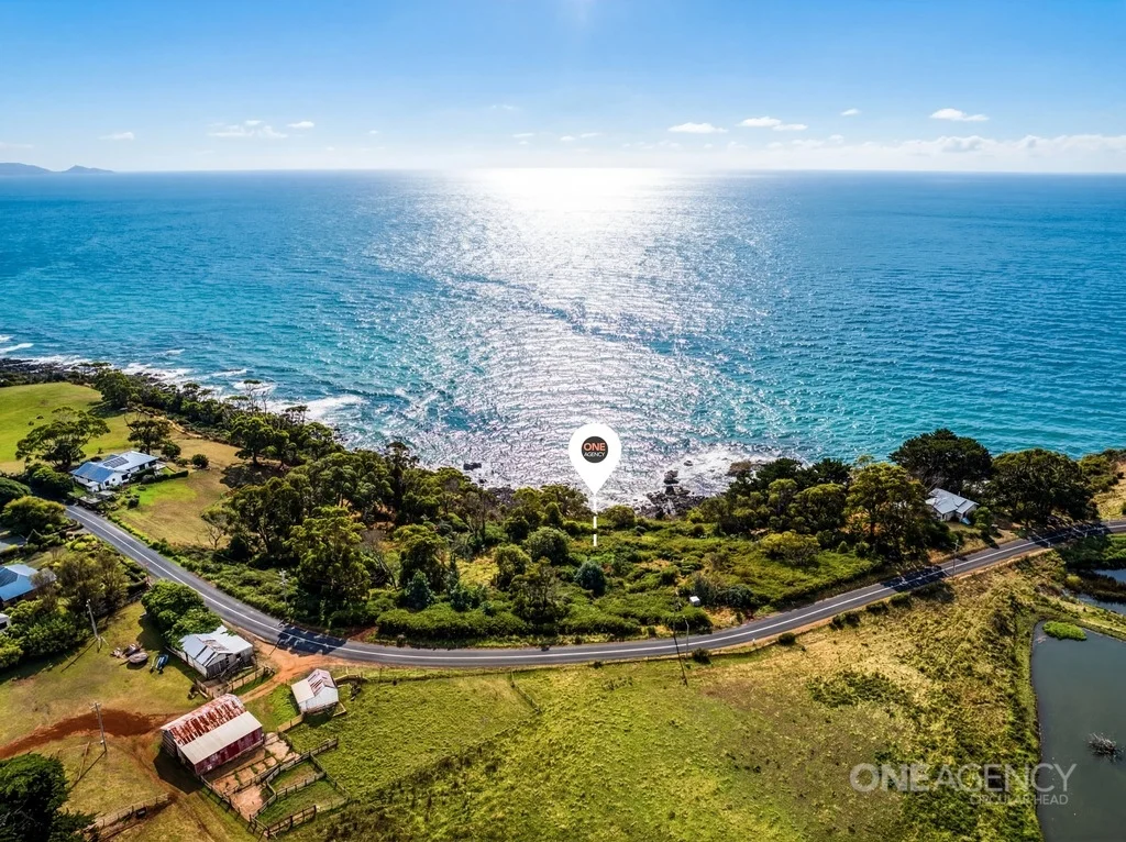 Additional image 5 of 472 Tollymore Road, Table Cape TAS 7325