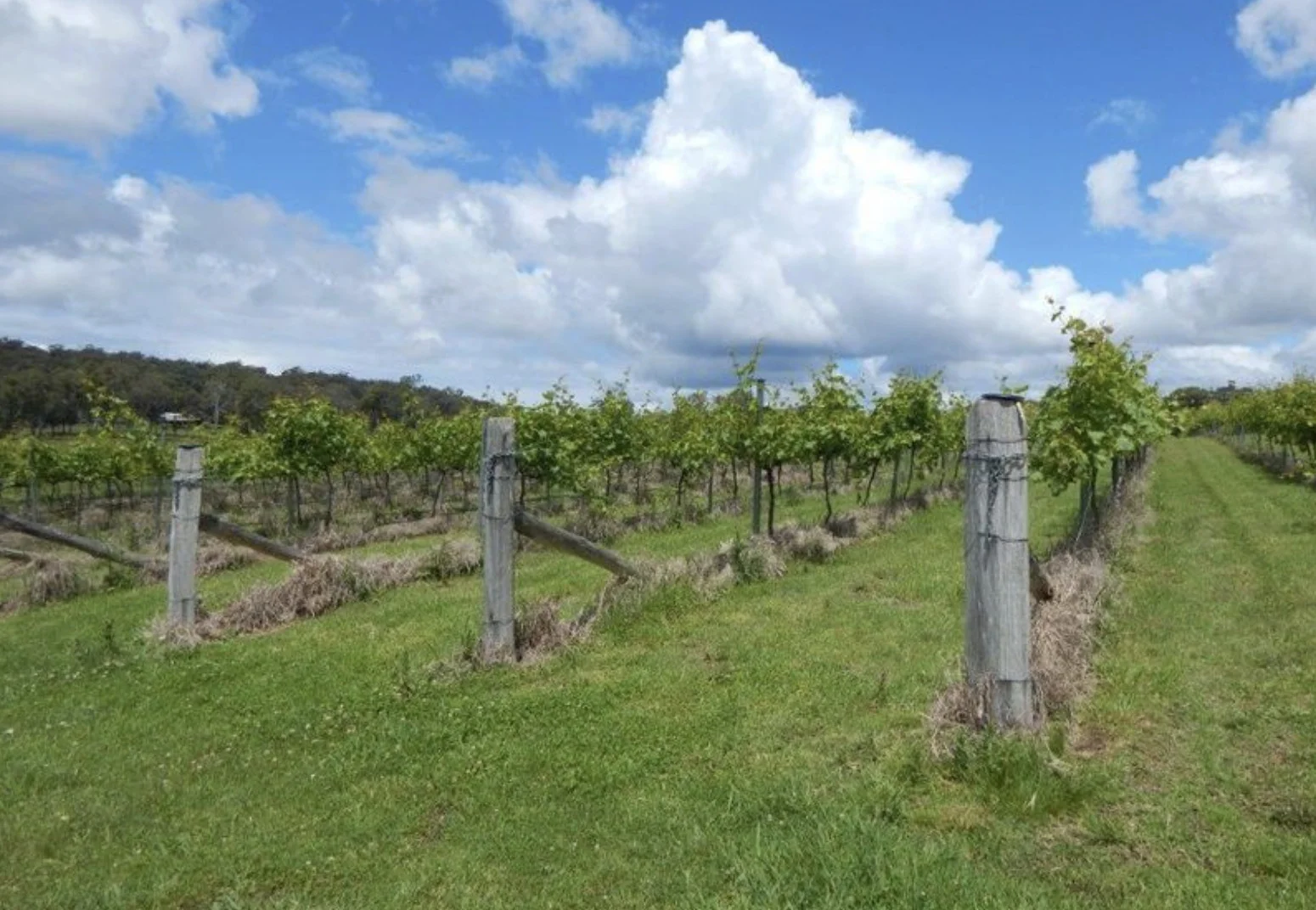 Additional image 38 of 874 Cobargo Bermagui Road, Coolagolite NSW 2550