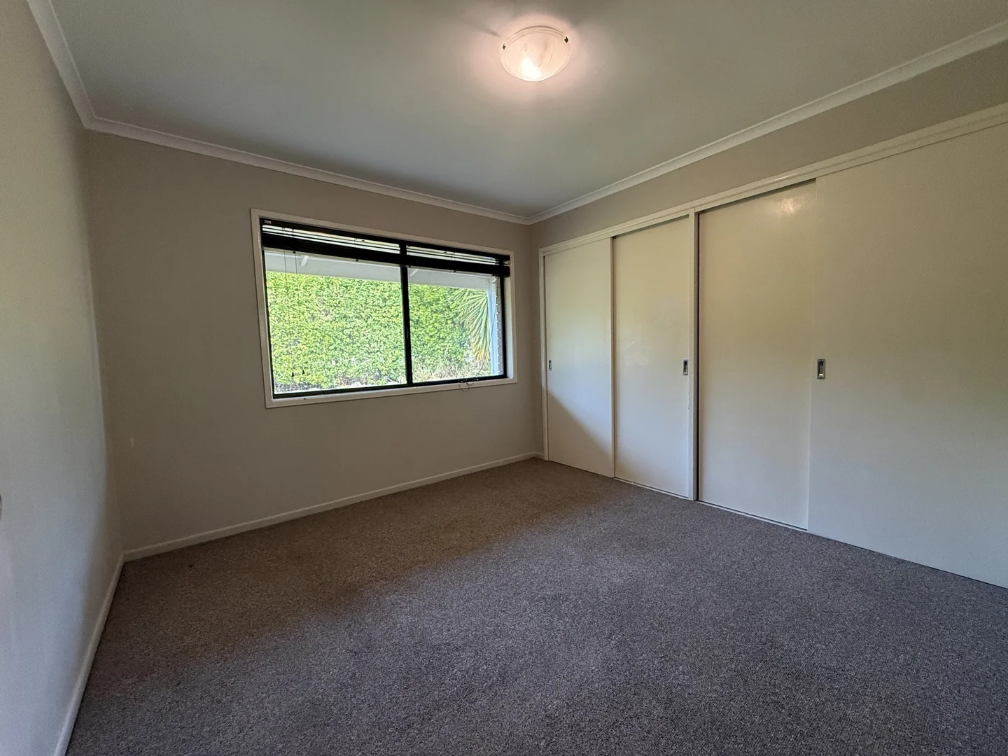 Additional image 4 of 51 Parkland Avenue, Browns Plains QLD 4118