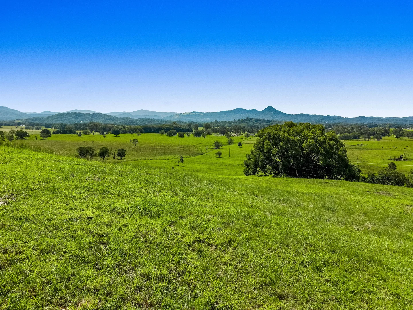 Additional image 10 of Lot 2 60 Lagoon Drive, Myocum NSW 2481