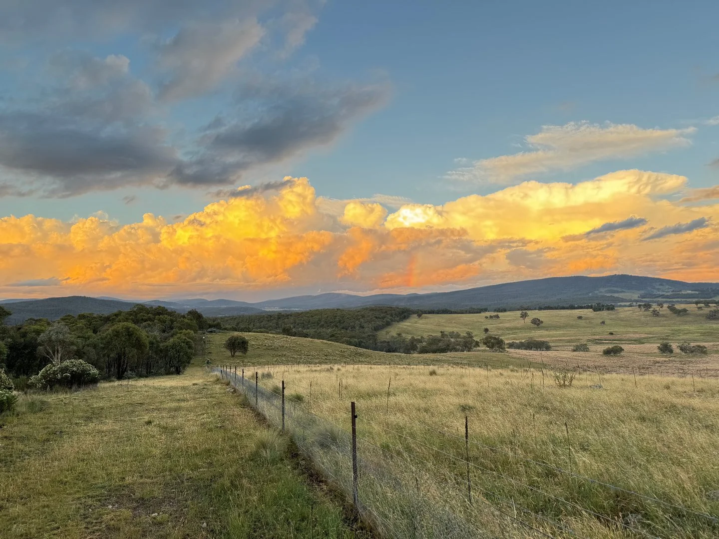 Additional image 3 of 474 Jones Plain Road, Shannons Flat NSW 2630