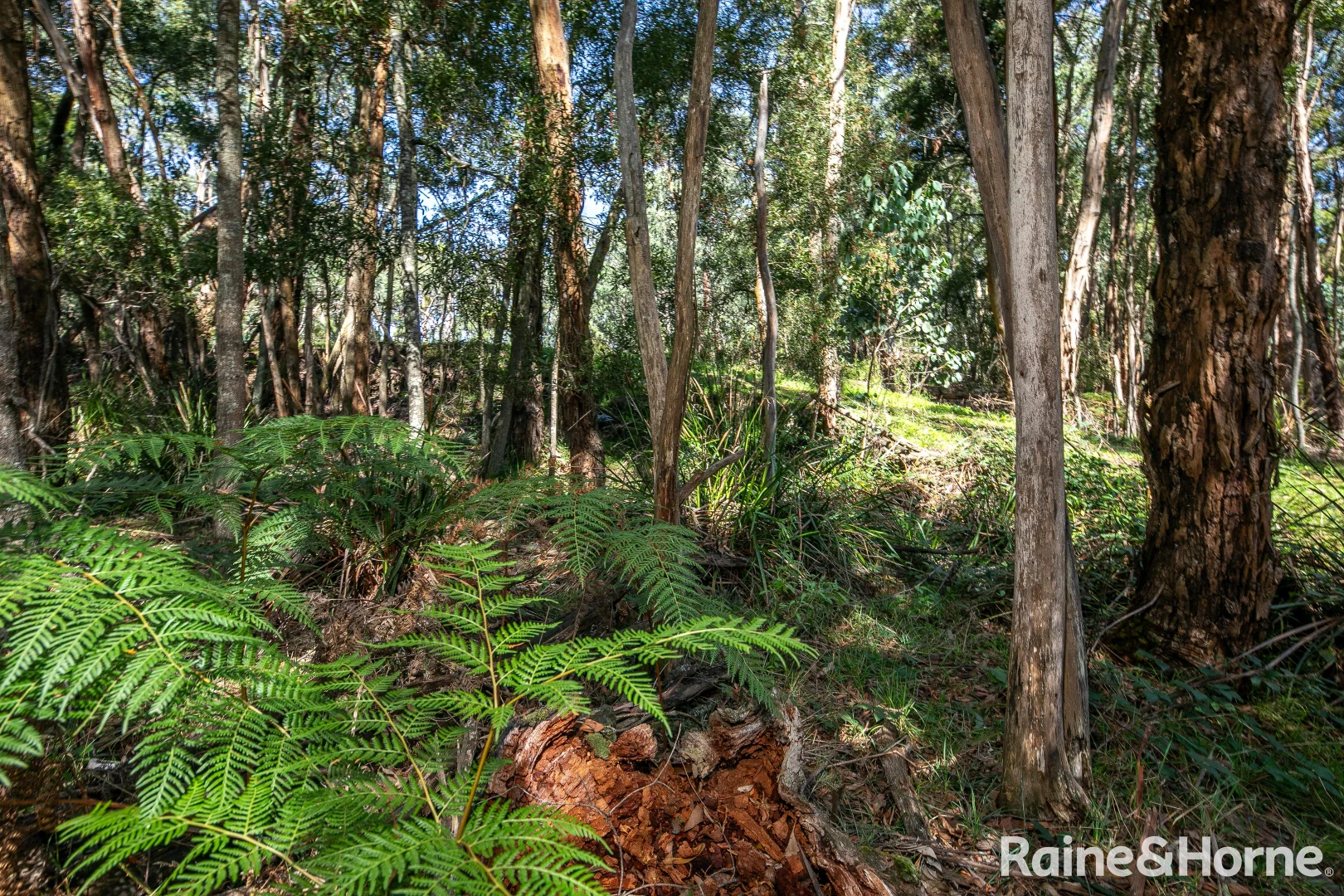 Additional image 30 of 162 Fitzgerald Road, Bullengarook VIC 3437