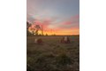 Additional image 50 of 4239 Seven Hills Rd, Odin, IL, 62870