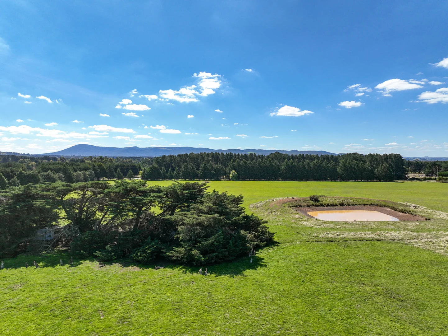 Additional image 8 of 15 McGregor Road, Gisborne VIC 3437