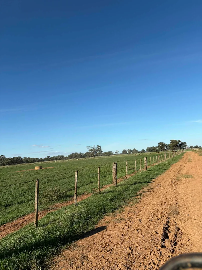 Additional image 10 of 78 Nicholson Lane, Kotta VIC 3565
