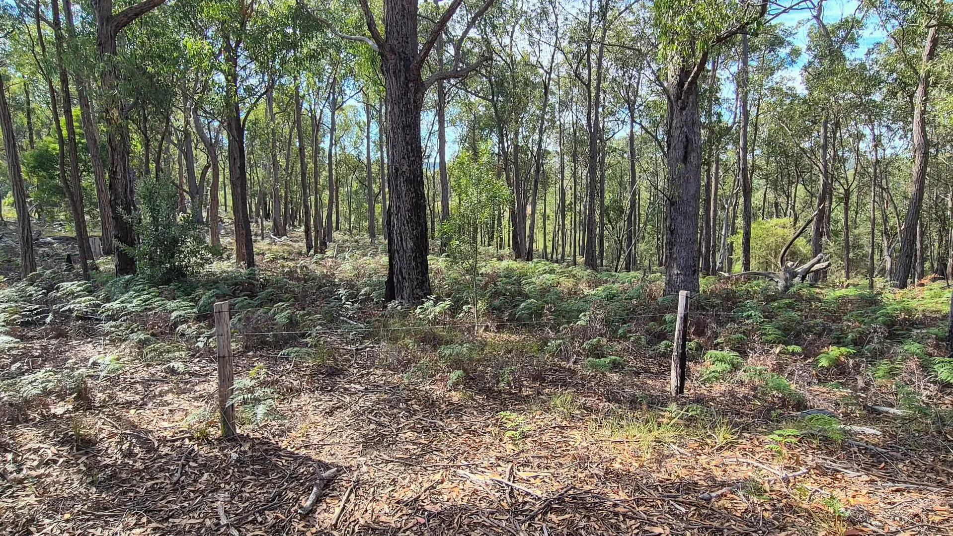 Additional image 21 of 5 Harveys Road, Woodside North VIC 3874