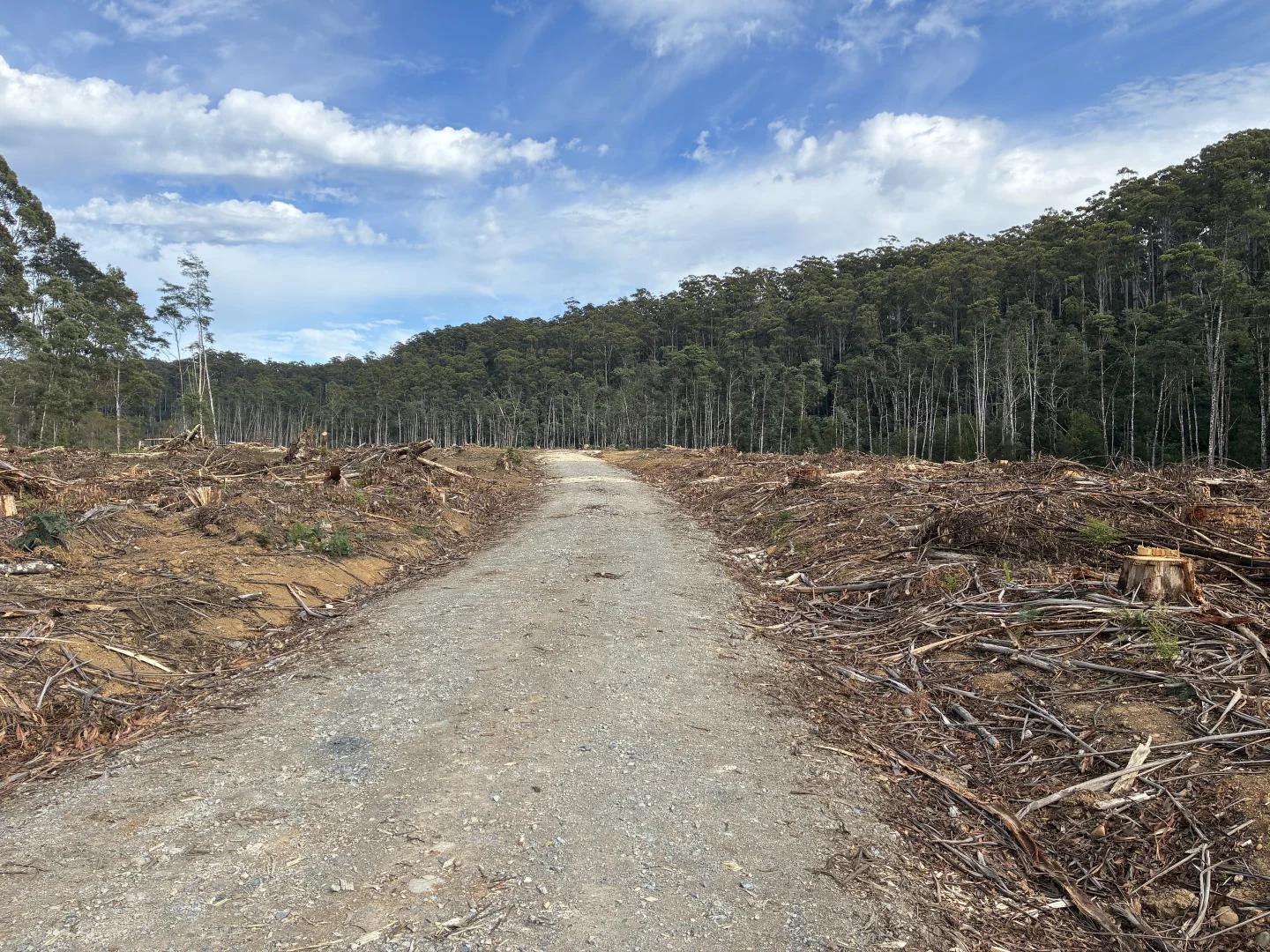 . Calder Road, Calder TAS 7325 photo 4