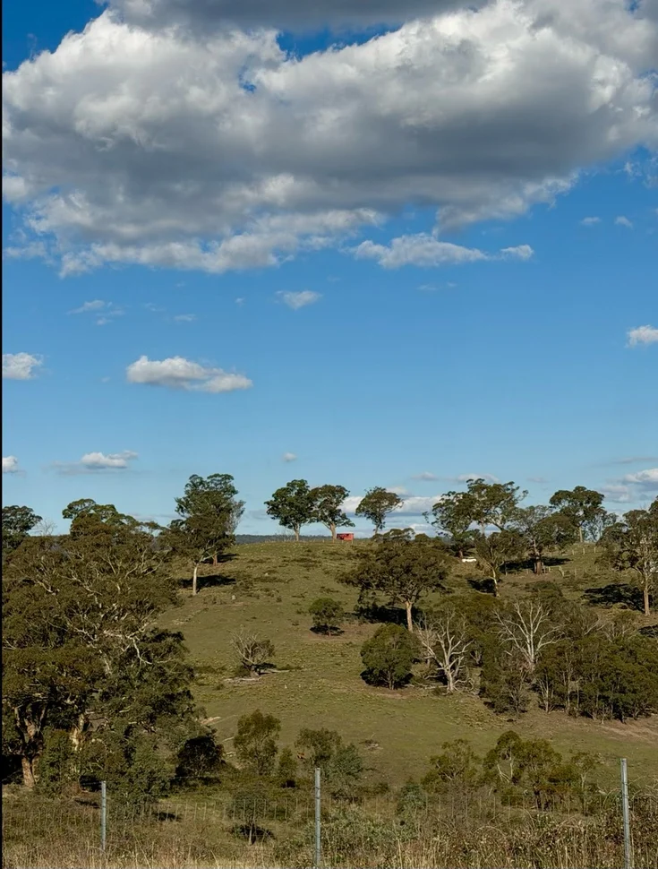 1175 Razorback Road, Mudgee NSW 2850 photo 4
