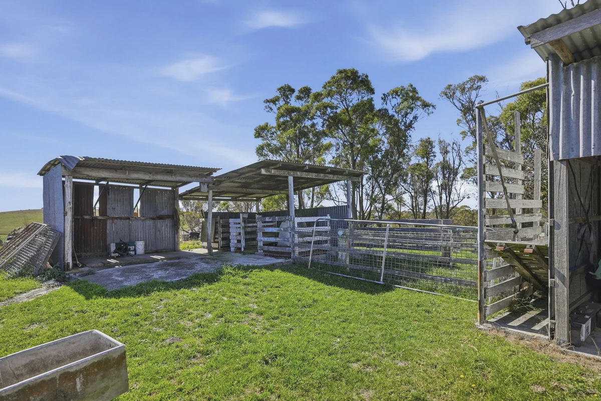 Additional image 34 of 19 Hills Road, Pipers Brook TAS 7254