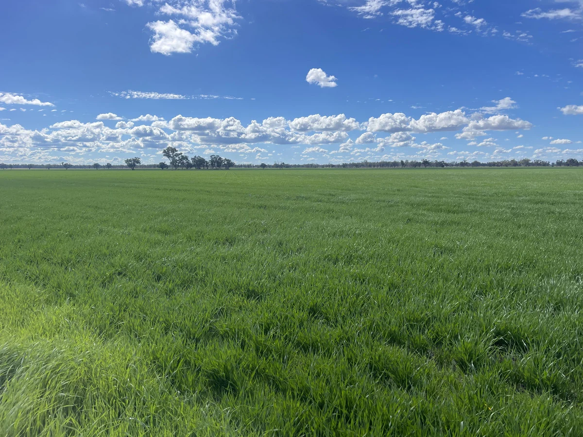 Additional image 7 of 'Trenayr' & 'Nanima' 2022 Terry Hie Hie Road, Moree NSW 2400