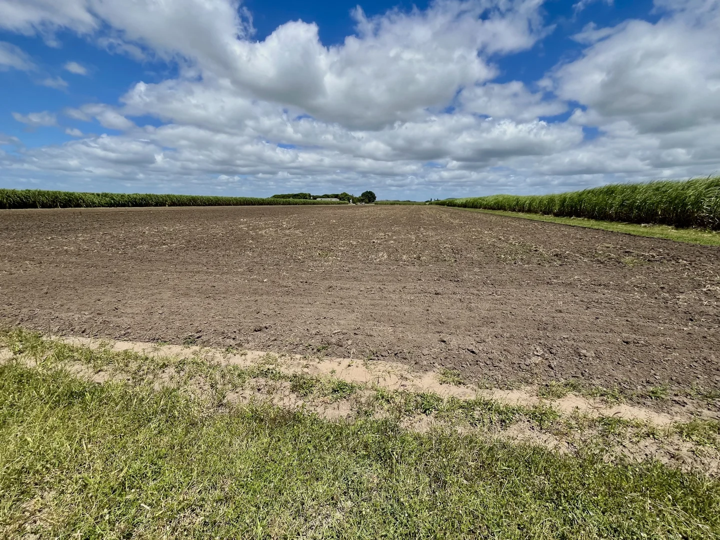 Additional image 20 of 174 Fiveways Road, Brandon QLD 4808