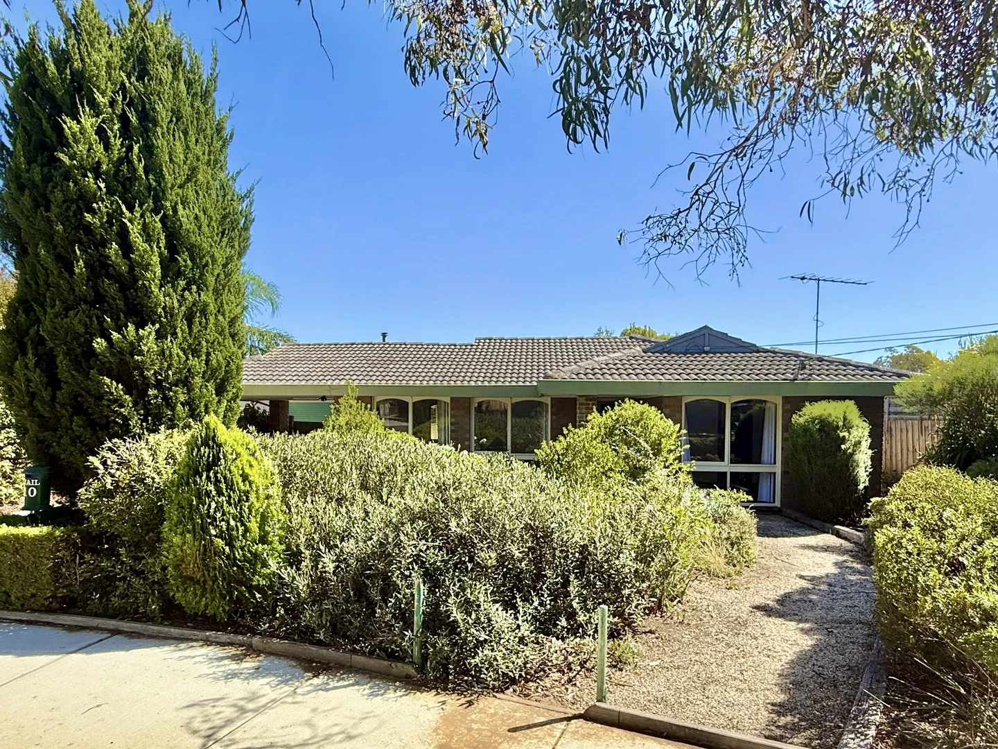 10 Edith Court, Belmont VIC 3216