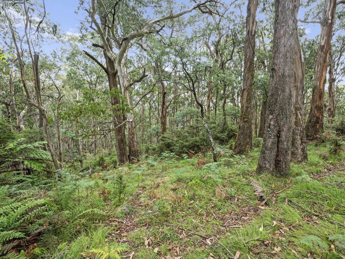 Additional image 5 of 62 Shane Lane, Tolmie VIC 3723