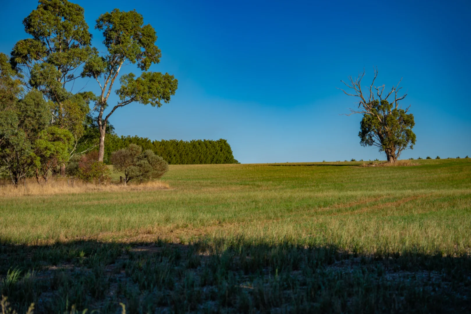 Additional image 10 of 180 Sharpes Road, Miners Rest VIC 3352