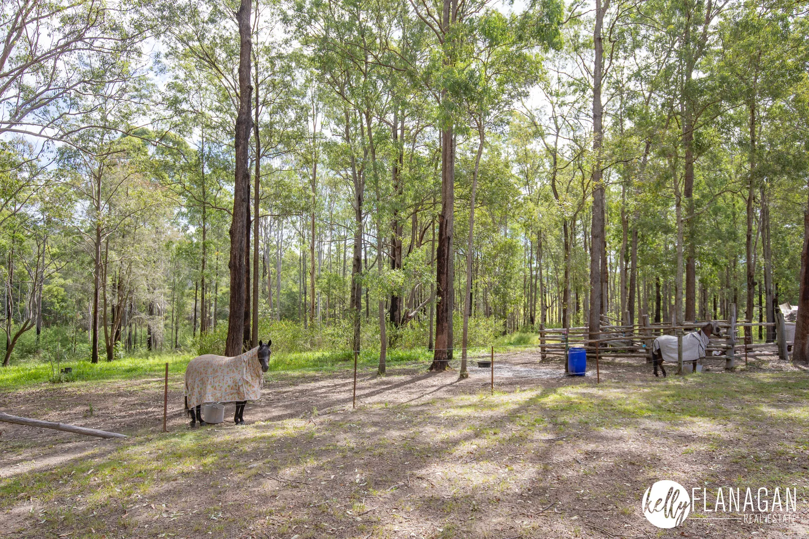 Additional image 24 of 1420 Collombatti Road, Collombatti NSW 2440