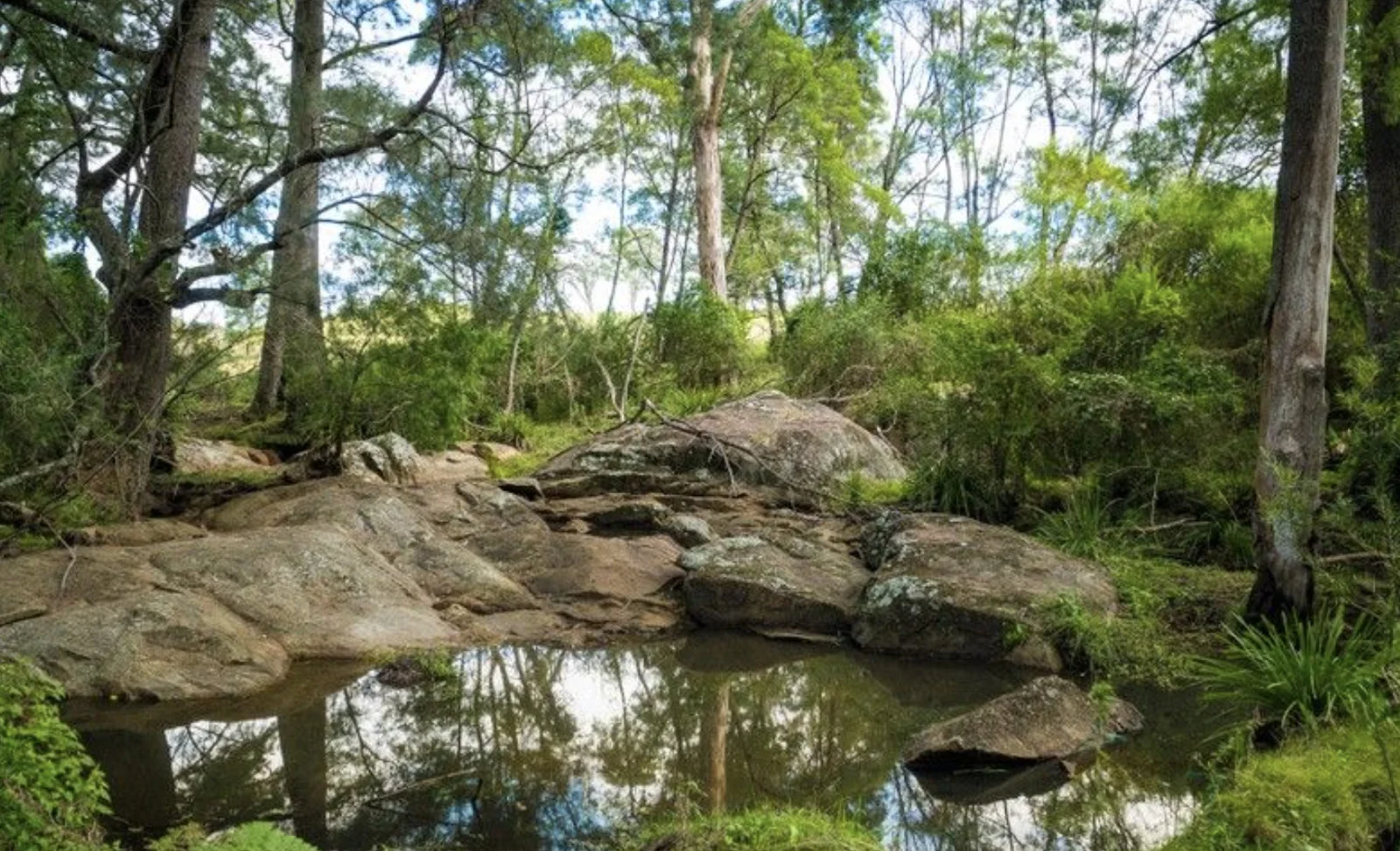 Additional image 4 of 874 Cobargo Bermagui Road, Coolagolite NSW 2550