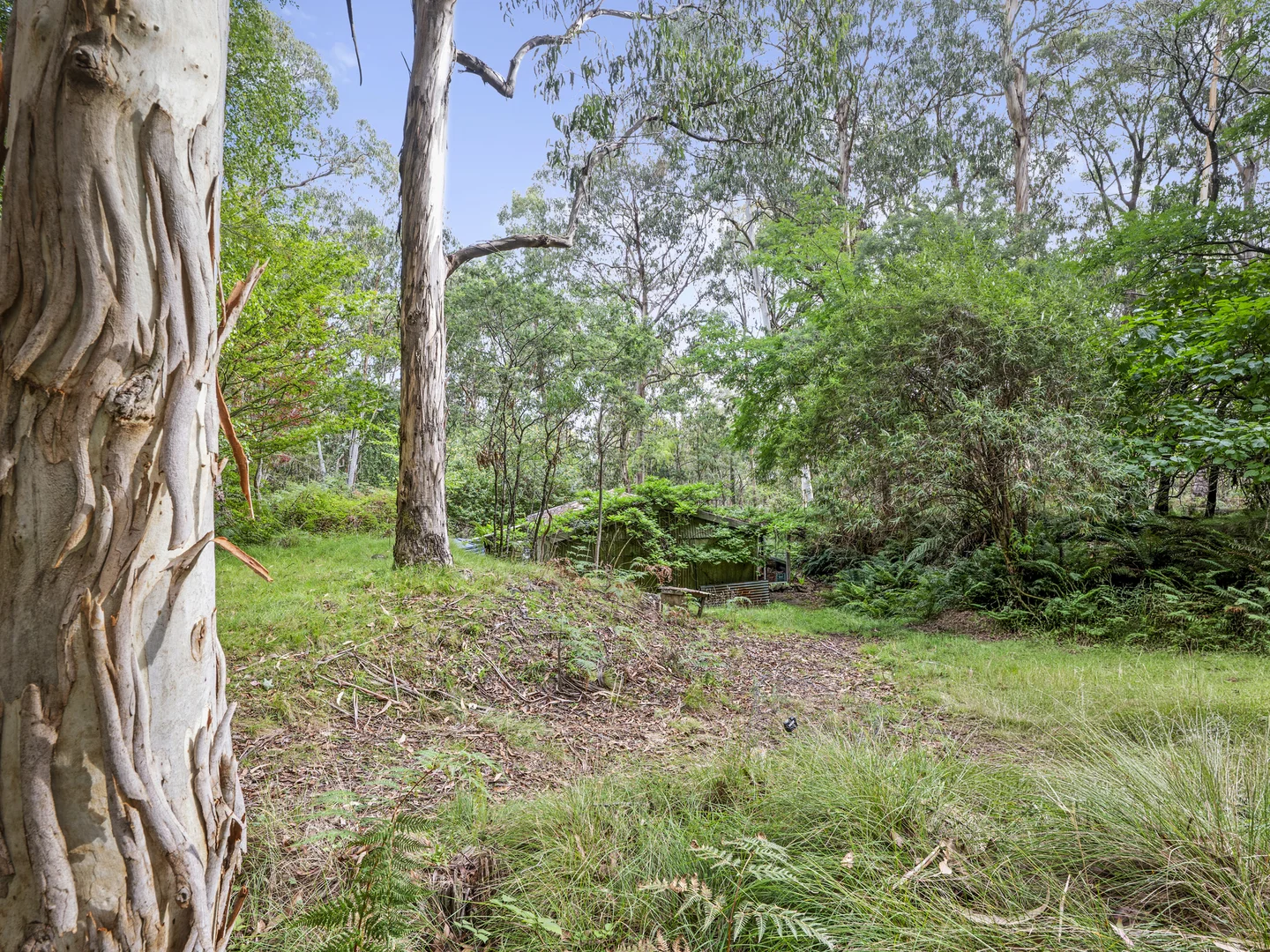 Additional image 4 of 62 Shane Lane, Tolmie VIC 3723