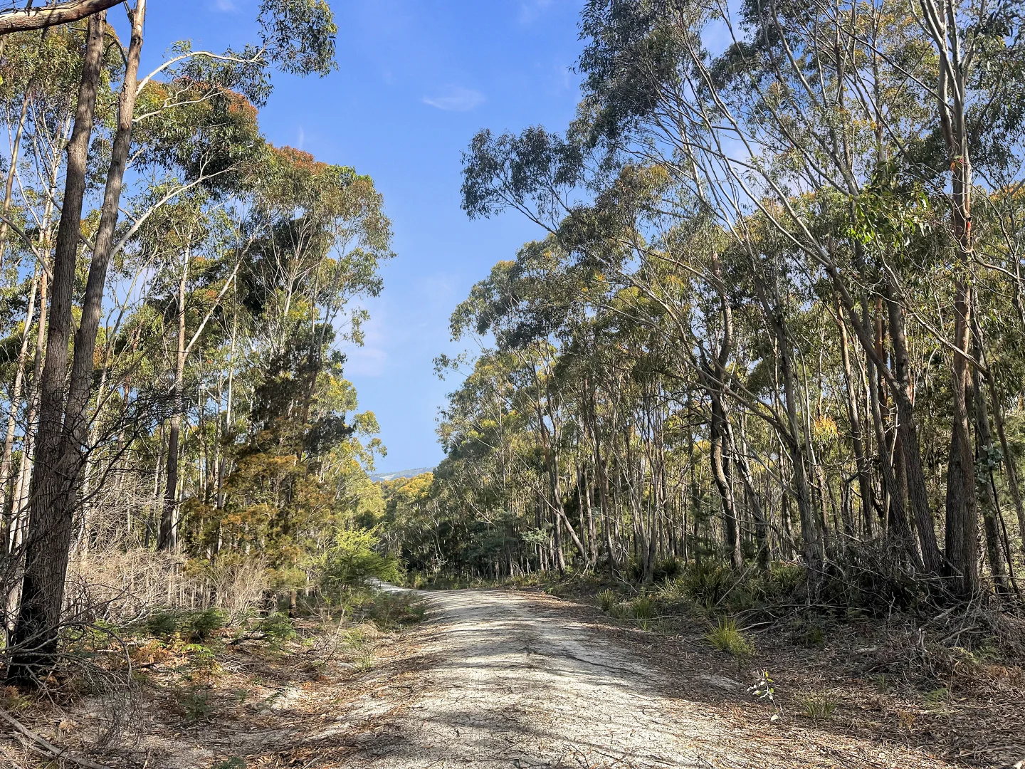 Additional image 11 of 25851 Tasman Highway, St Helens TAS 7216