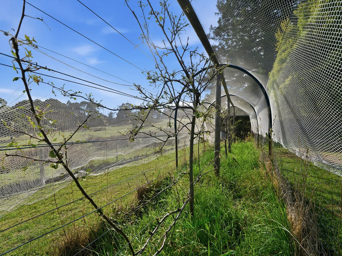 Additional image 17 of 724 Nubeena Road, Koonya TAS 7187