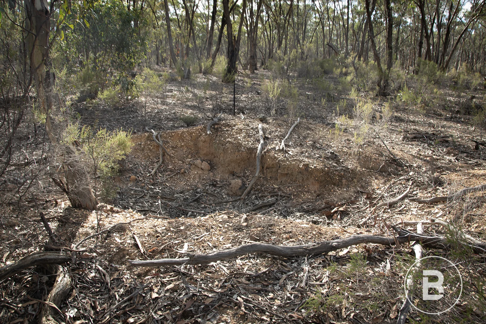 Additional image 11 of CA4 SEC 6 Maryborough Dunolly Road, Havelock VIC 3465