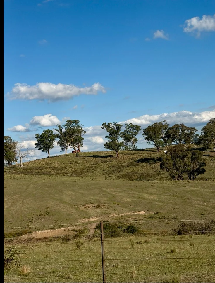 1175 Razorback Road, Mudgee NSW 2850 photo 5