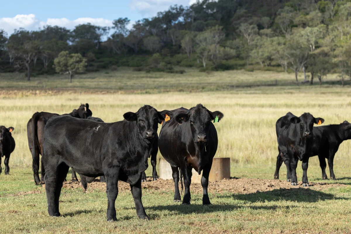 Additional image 2 of 473 Greenmount-Etonvale Road, Greenmount QLD 4359