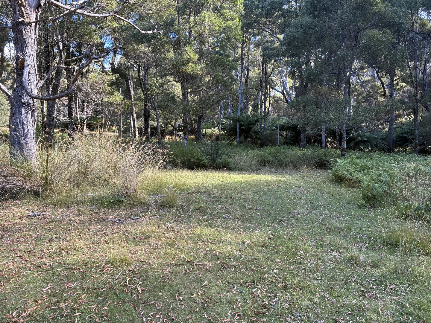 Additional image 14 of 306 Coopers Road, Rocky Cape TAS 7321
