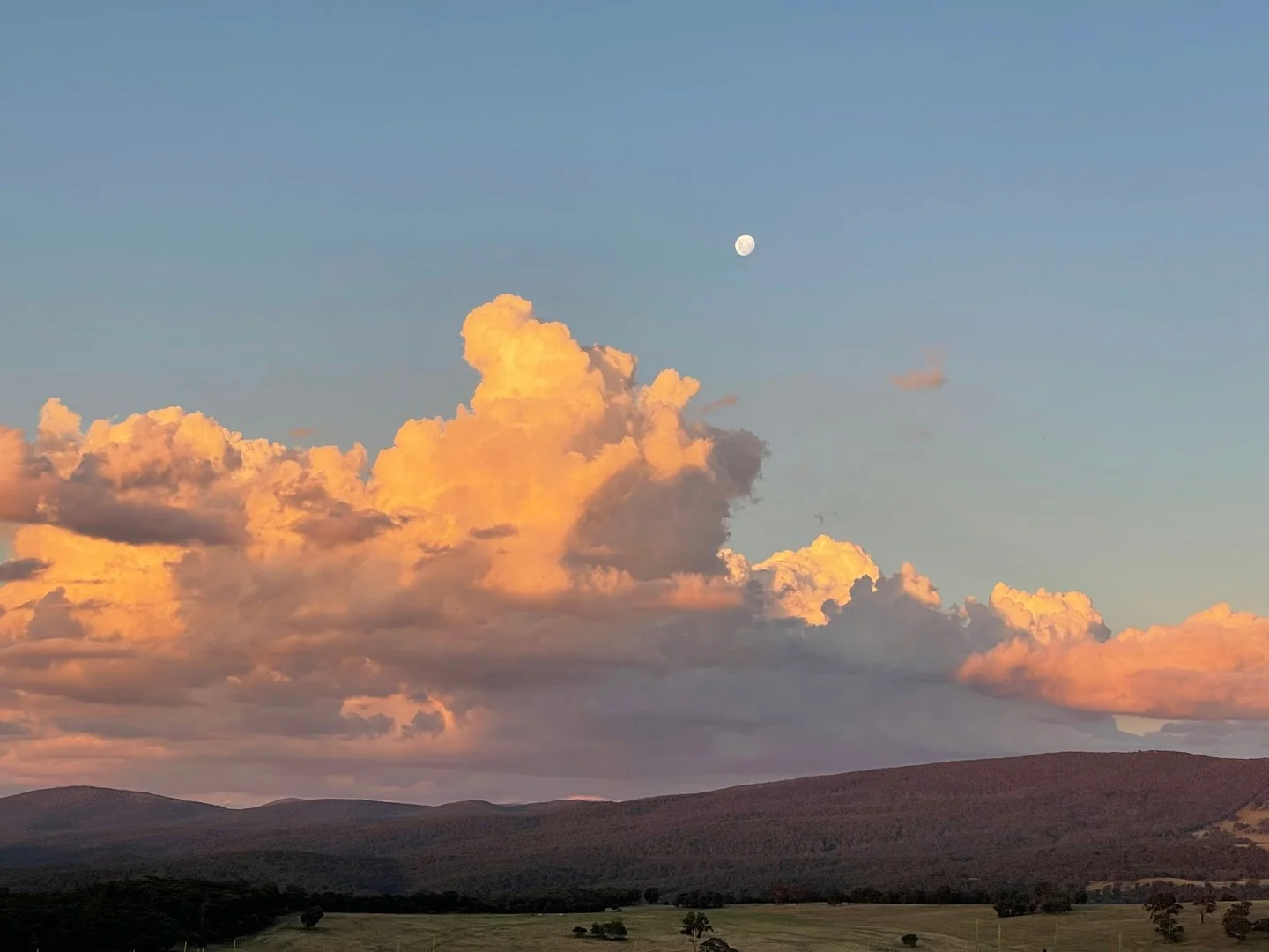 Additional image 14 of 474 Jones Plain Road, Shannons Flat NSW 2630